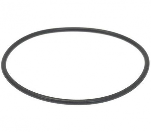 095805 GASKET O-RING фото 2